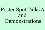 Session: Poster Spot Talks A and Demonstrations